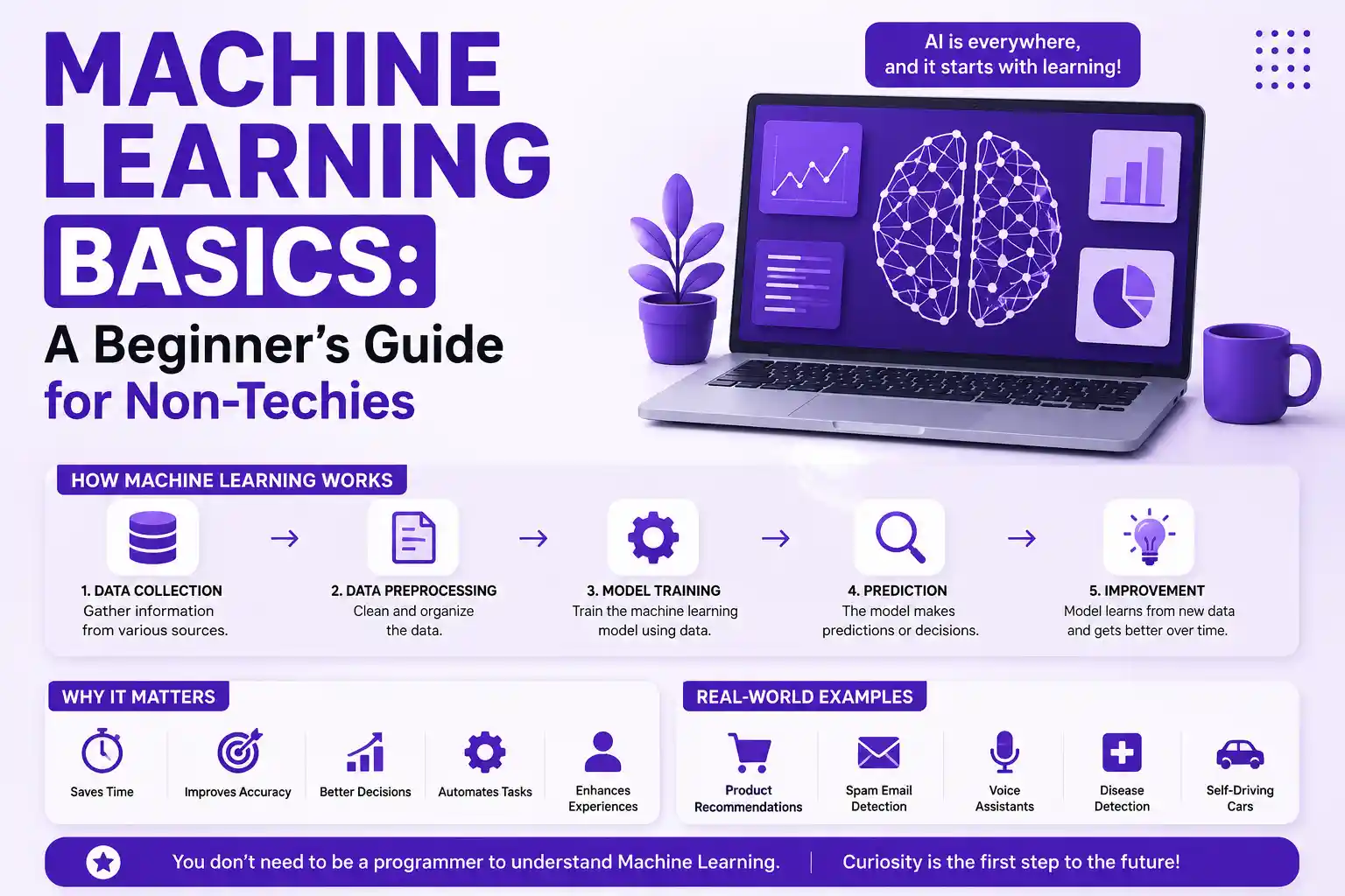 Machine Learning Basics: A Beginner's Guide for Non-Techies